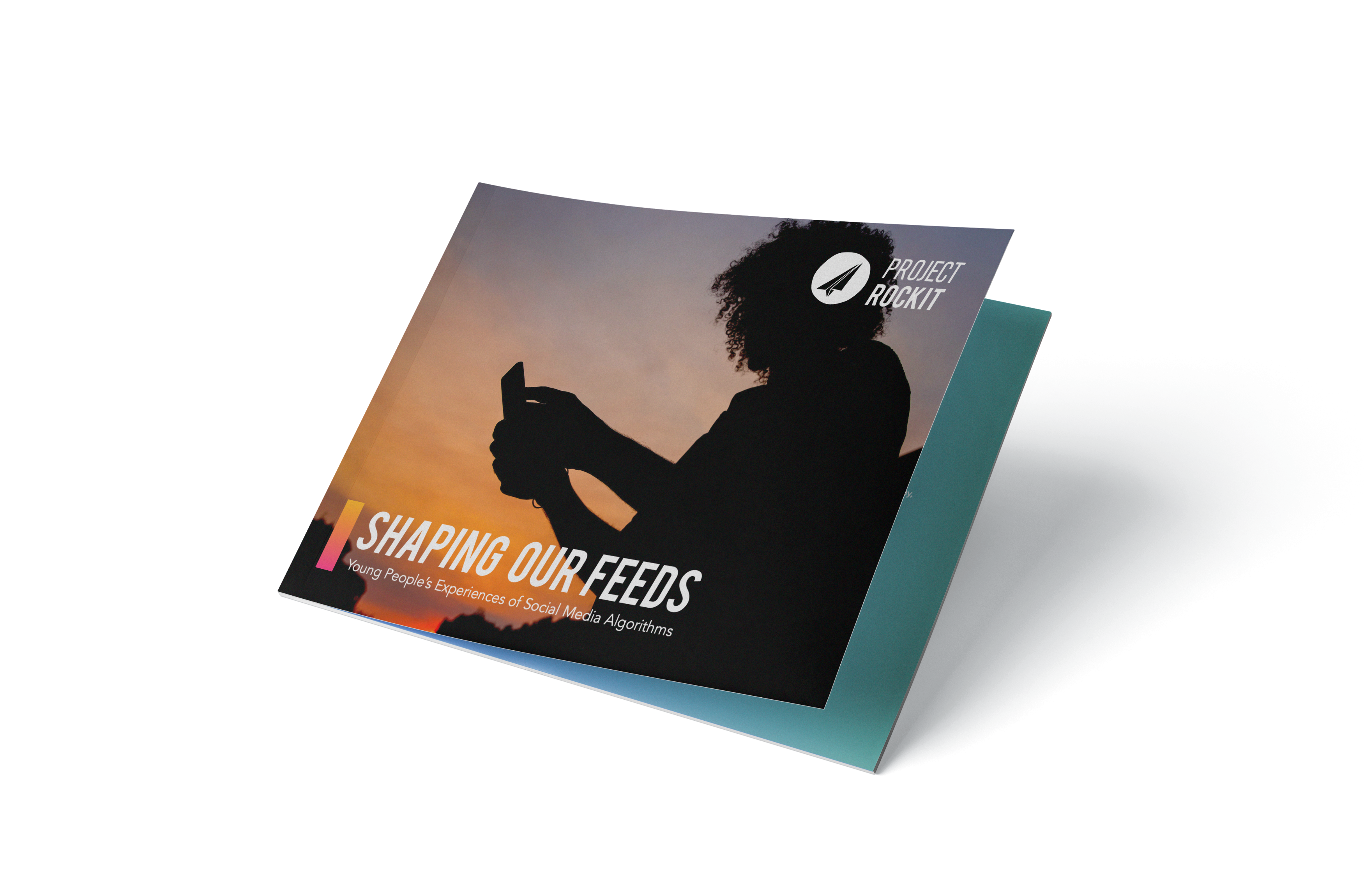 Shaping our Feeds report