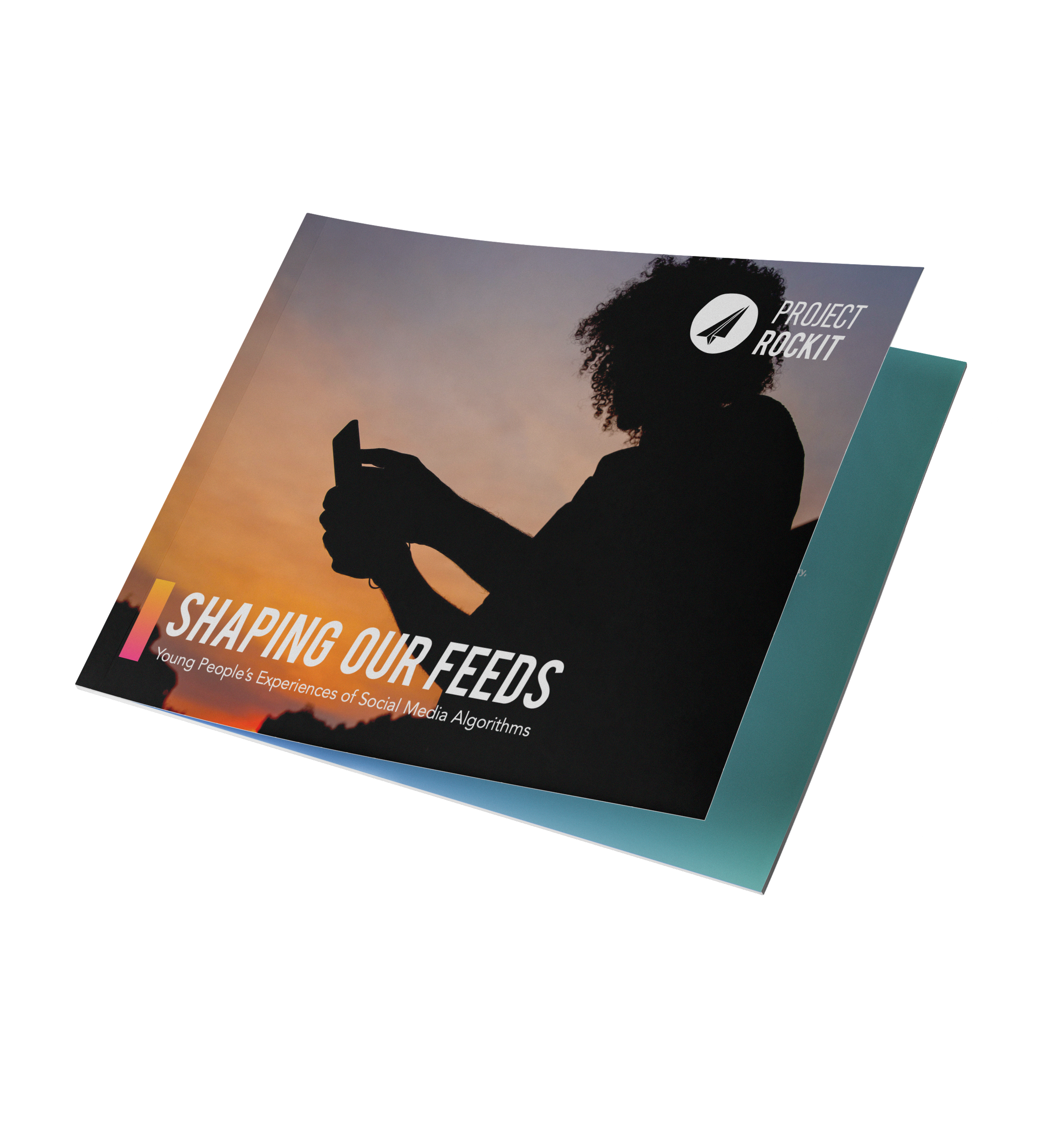 Shaping our Feeds report1